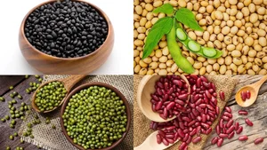 Top 5 Nutrient-Rich Seeds and Nuts to Boost Eye Health and Naturally Prevent Vision Aging for a Clearer Future - image 0