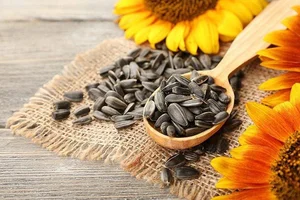 Top 5 Nutrient-Rich Seeds and Nuts to Boost Eye Health and Naturally Prevent Vision Aging for a Clearer Future - image 5