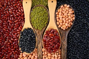 Top 5 Nutrient-Rich Seeds and Nuts to Boost Eye Health and Naturally Prevent Vision Aging for a Clearer Future - image 3