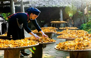 The Best Tourism Villages in Vietnam: A Journey to Tan Hoa, Thai Hai, and More - image 4