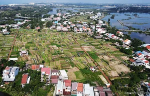 The Best Tourism Villages in Vietnam: A Journey to Tan Hoa, Thai Hai, and More - image 5