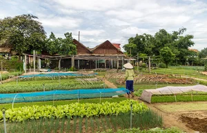 The Best Tourism Villages in Vietnam: A Journey to Tan Hoa, Thai Hai, and More - image 1