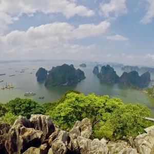 Ha Long Bay 2024 Travel Guide: Top 10 Activities, Dining, and Cruises - image 6