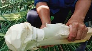 Exploring the Culinary Delicacy of Coconut Core: Why This Vietnamese Specialty is Considered a Luxury Dish - image 2