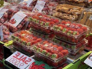 A Guide to the Vibrant Street Food Culture of Seoul, South Korea - image 1