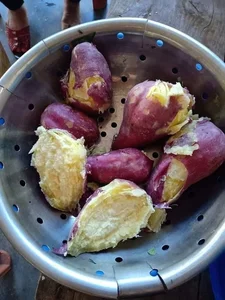 Nostalgic Childhood Dishes: A Heartwarming Journey Through Simple Flavors and Timeless Memories - image 3