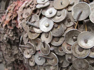 The Mysterious 'Toothache Tree' of Nepal: A Unique Tradition in Kathmandu - image 1