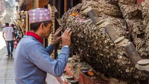 The Mysterious 'Toothache Tree' of Nepal: A Unique Tradition in Kathmandu - image 0