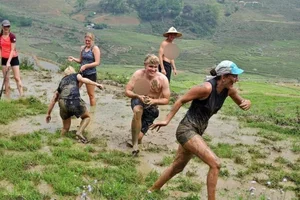 Authentic Vietnam Travel: Western Tourists Experience Traditional Rice Field Farming - image 0