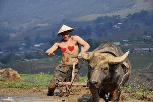 Authentic Vietnam Travel: Western Tourists Experience Traditional Rice Field Farming - image 4