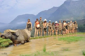 Authentic Vietnam Travel: Western Tourists Experience Traditional Rice Field Farming - image 2