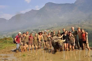Authentic Vietnam Travel: Western Tourists Experience Traditional Rice Field Farming - image 5