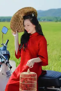 Discover the Serene Beauty: Vietnamese Girl in Red Ao Dai Amidst Green Rice Fields - image 12