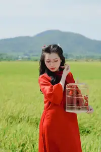 Discover the Serene Beauty: Vietnamese Girl in Red Ao Dai Amidst Green Rice Fields - image 18