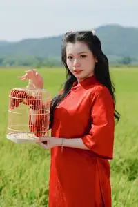 Discover the Serene Beauty: Vietnamese Girl in Red Ao Dai Amidst Green Rice Fields - image 21