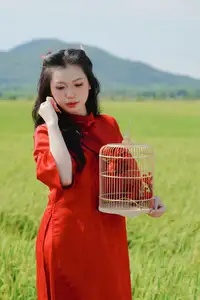 Discover the Serene Beauty: Vietnamese Girl in Red Ao Dai Amidst Green Rice Fields - image 8