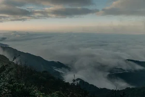 Conquer Sa Mu – U Bò Peak: A Breathtaking Trekking Journey Through Mossy Forests and Sea of Clouds in Son La, Vietnam - image 10