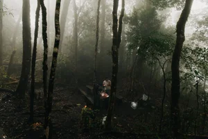 Conquer Sa Mu – U Bò Peak: A Breathtaking Trekking Journey Through Mossy Forests and Sea of Clouds in Son La, Vietnam - image 3