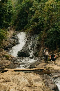 Conquer Sa Mu – U Bò Peak: A Breathtaking Trekking Journey Through Mossy Forests and Sea of Clouds in Son La, Vietnam - image 1