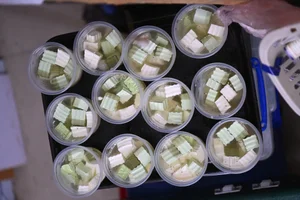 Hanoi Street Food: The Famous Tào Phớ Shop Where Locals Queue for a Taste - image 0