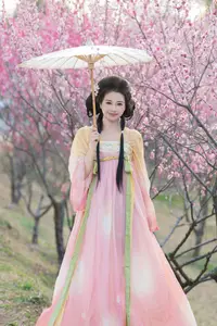 Shu Shu Jiang's Grace Amidst Blooming Plum Blossoms - YiTuYu Art Language Vol.8769 - image 25