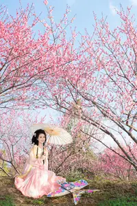Shu Shu Jiang's Grace Amidst Blooming Plum Blossoms - YiTuYu Art Language Vol.8769 - image 20