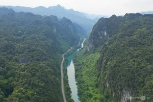 Phong Nha - Ke Bang: Why Western Tourists are Falling in Love with River Adventures - image 3