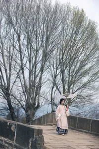 Timeless Elegance of Yi Ming in Art Language Vol.8869 - A Poetic Riverside Muse - image 11