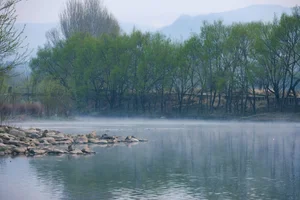 Timeless Elegance of Yi Ming in Art Language Vol.8869 - A Poetic Riverside Muse - image 19