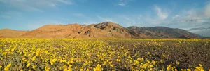 Exploring the Hottest Places on Earth: A Journey Through Extreme Landscapes and Natural Wonders - image 5