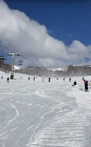Niseko Japan: The Luxury Ski Destination Chosen by Ha Tang’s Family for 2026 - image 6