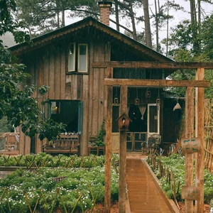 Da Lat Rainy Day Guide: Best Indoor Activities and Comfort Food - image 5