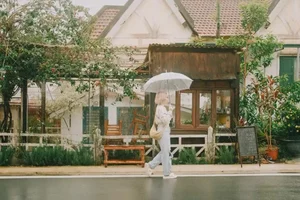 Da Lat Rainy Day Guide: Best Indoor Activities and Comfort Food - image 3
