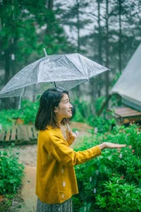 Da Lat Rainy Day Guide: Best Indoor Activities and Comfort Food - image 4