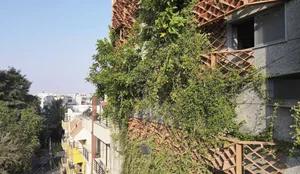 Sustainable Urban Living: A Stunning Green Renovation of a Mini Apartment in India - image 9