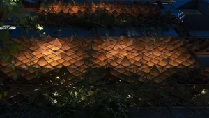 Sustainable Urban Living: A Stunning Green Renovation of a Mini Apartment in India - image 10