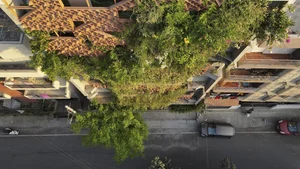 Sustainable Urban Living: A Stunning Green Renovation of a Mini Apartment in India - image 7
