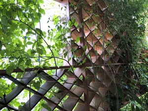 Sustainable Urban Living: A Stunning Green Renovation of a Mini Apartment in India - image 5