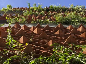 Sustainable Urban Living: A Stunning Green Renovation of a Mini Apartment in India - image 6