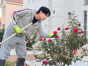 A Floral Paradise: Exploring Dan Truong’s Spectacular Rose Villa in the United States - image 7