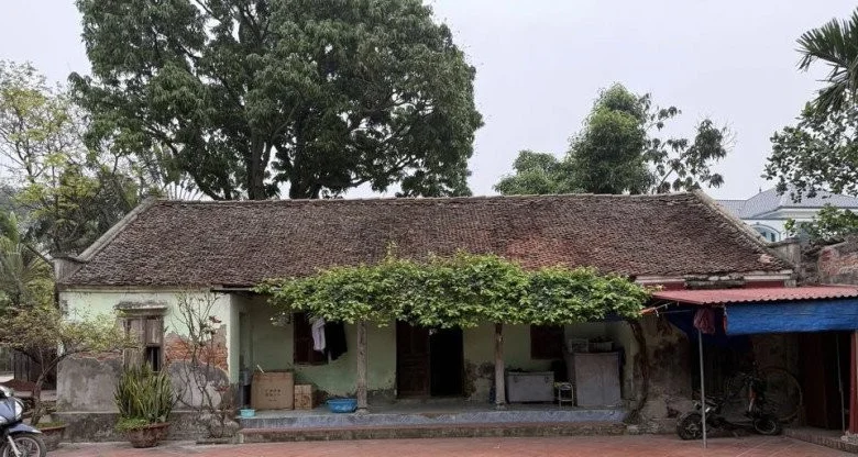 Artist Xuan Hinh’s Exquisite Miniature Traditional House: A Masterpiece of Cultural Art