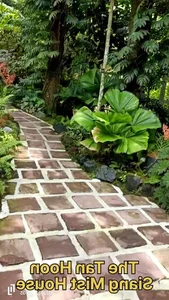 Exploring the Beauty of Singapore National Orchid Garden - image 3