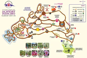 Exploring the Beauty of Singapore National Orchid Garden - image 7