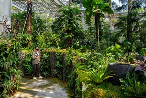 Exploring the Beauty of Singapore National Orchid Garden - image 0