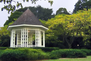 Exploring the Beauty of Singapore National Orchid Garden - image 2