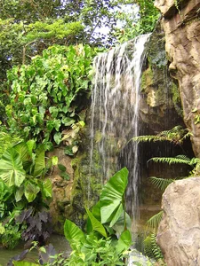 Exploring the Beauty of Singapore National Orchid Garden - image 6