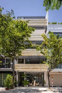 Urban Greenery: Designing Lush Townhouse Oases Amidst the Concrete Jungle - image 8