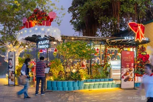 Christmas Magic in Hanoi: Festive Colors and Holiday Spirit in the Capital - image 10