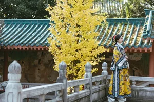 Shen Shi Si Captivates in YiTuYu Art Language Vol.7709: Modern Grace Through the Lens - image 7