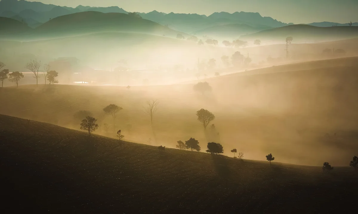 Moc Chau Winter Guide: 5 Must-Visit Check-in Spots